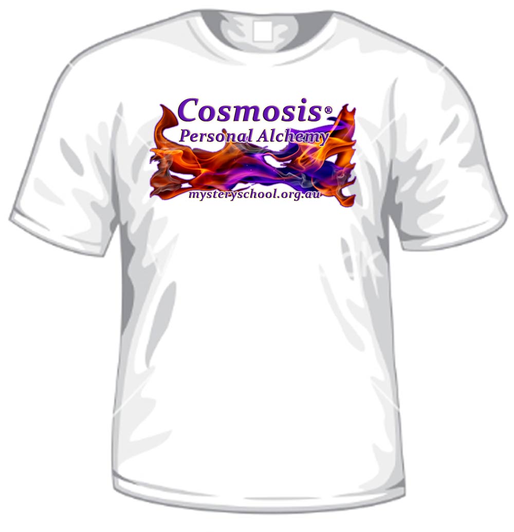 Cosmosis Tshirt (image for) Cosmosis Tshirt